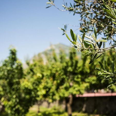 Casa Vacanza Dal Cavaliere Montesarchio Extérieur photo